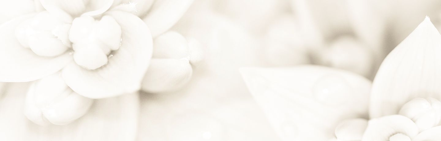 Zen Care Thaimassage